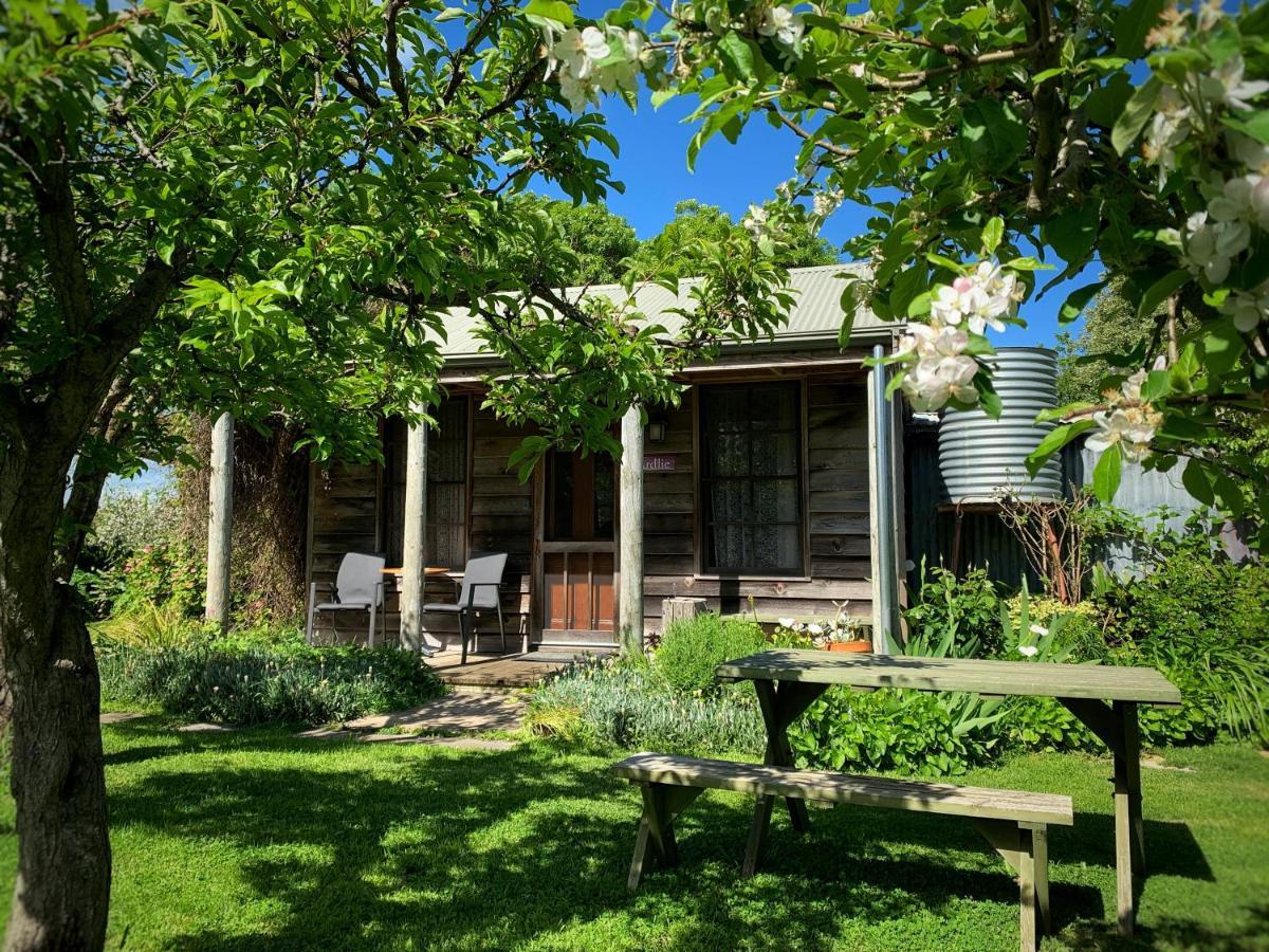 Cherry Plum Cottages Port Fairy Eksteriør billede