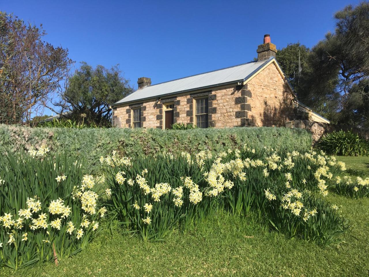 Cherry Plum Cottages Port Fairy Eksteriør billede