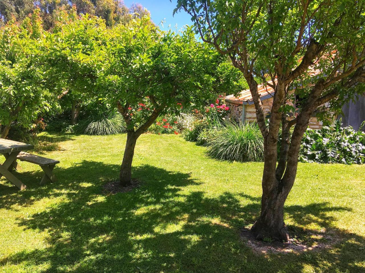 Cherry Plum Cottages Port Fairy Eksteriør billede