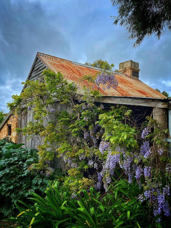 Cherry Plum Cottages Port Fairy Eksteriør billede